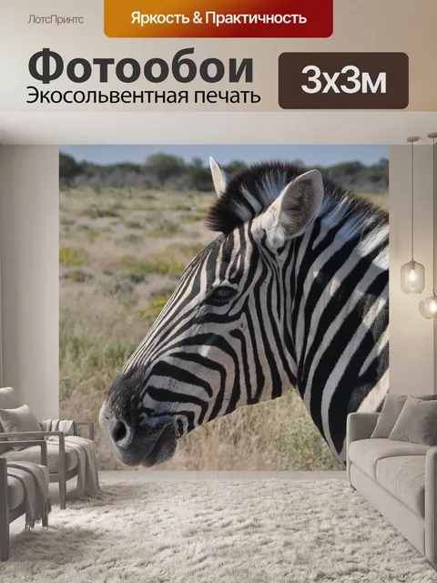 Фотообои Зебра
