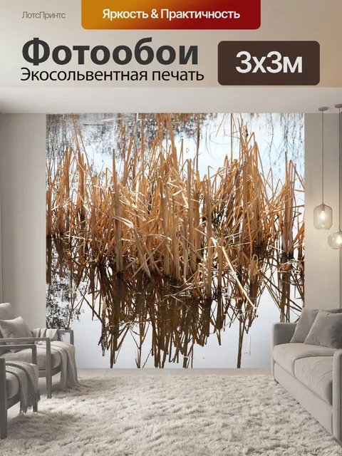 Фотообои Кэттейл в озере