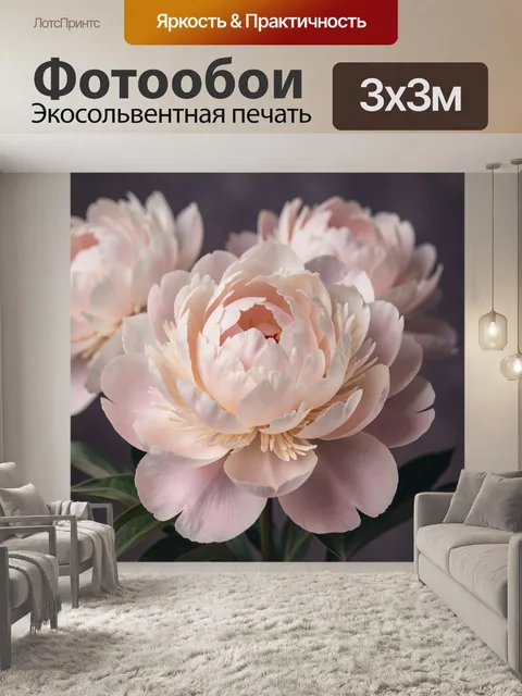 Фотообои Нежные розовые пионы крупным планом