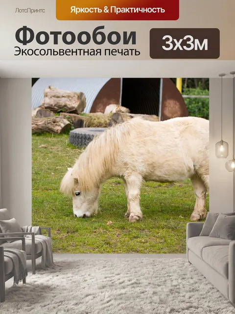 Фотообои Шетландские пони