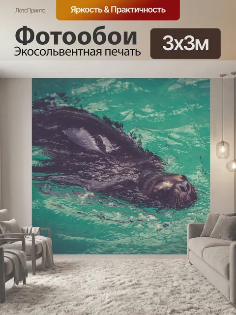 Фотообои Морской лев