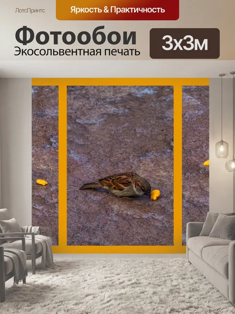 Фотообои Воробей