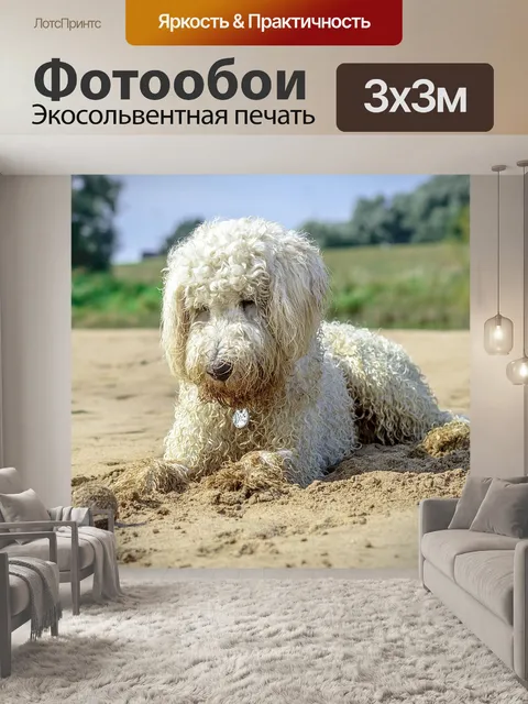 Фотообои Золотой каракули