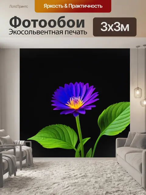 Фотообои цветы на черном фоне