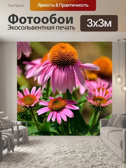 Фотообои Фиолетовый конуса Цветы
