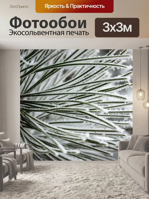 Фотообои Иглы