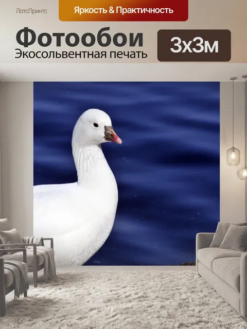 Фотообои Белая птица у озера