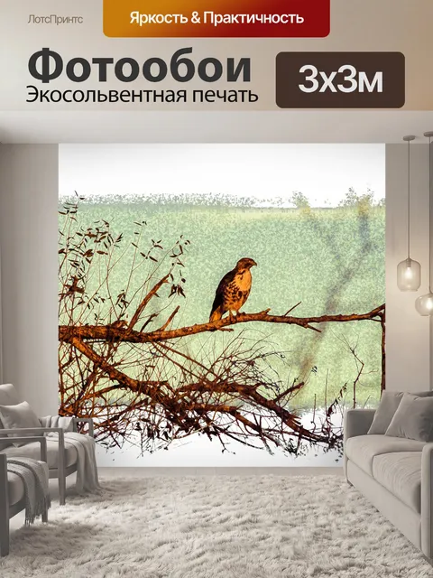 Фотообои ястреб