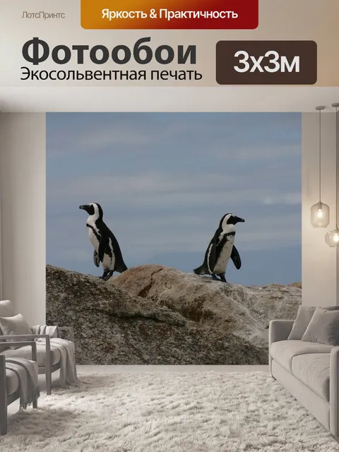 Фотообои Пингвины