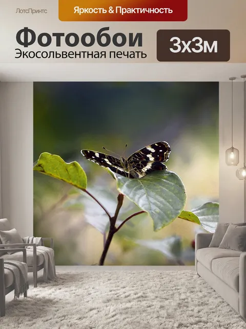 Фотообои Карта бабочка