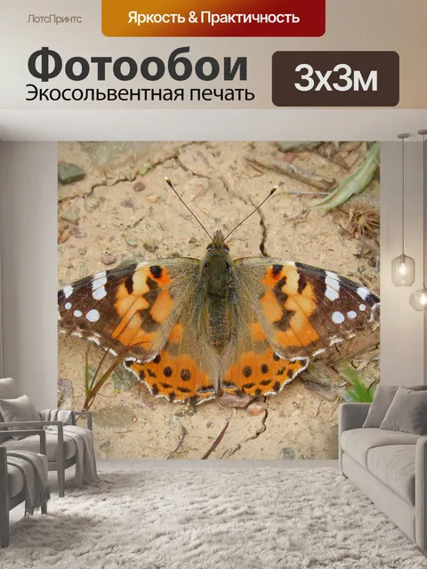 Фотообои Бабочка