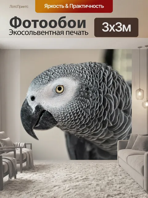 Фотообои Африканец