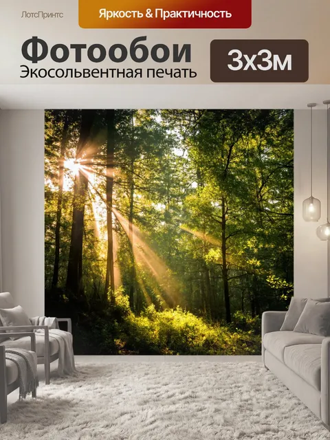 Фотообои лес с утренними лучами солнца, пробивающимися сквозь ветви деревьев
