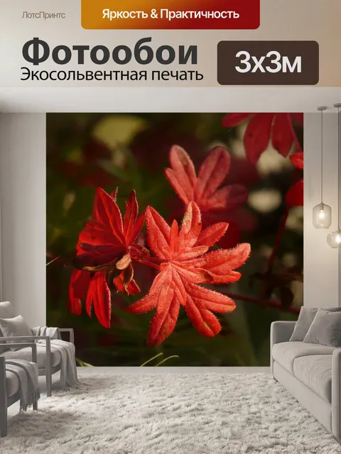 Фотообои Кроваво-красный журавль