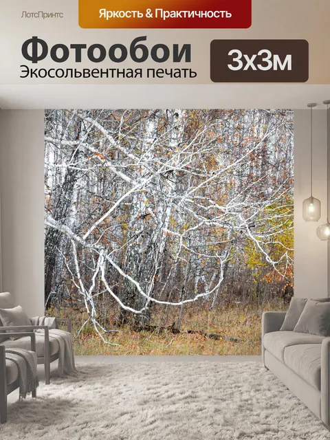 Фотообои Birch forest in autumn in Siberia