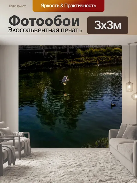 Фотообои Большая белая цапля в полете