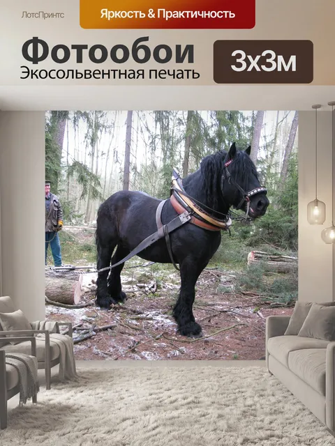 Фотообои Лошадь