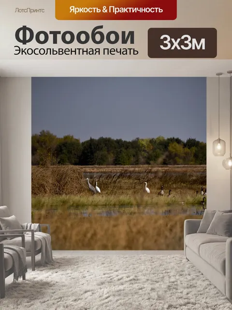 Фотообои Санглийские журавли с гуси
