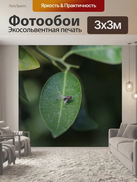 Фотообои Летать