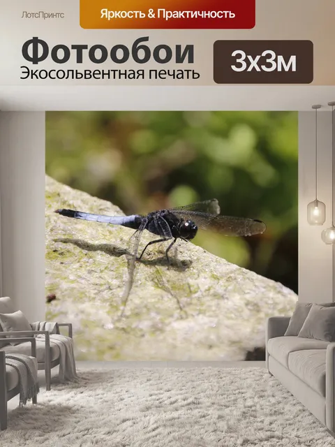 Фотообои Стрекоза