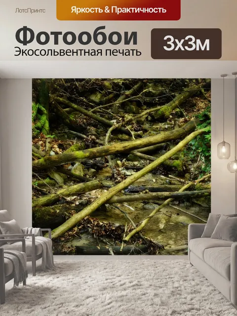 Фотообои Русло реки