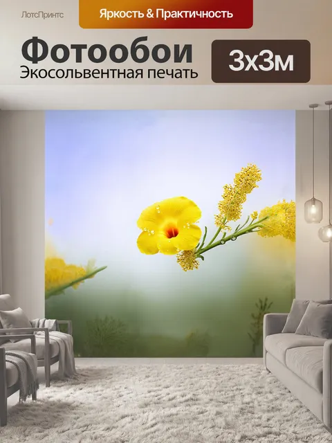 Фотообои минималистичное изображение мимозы с крупным планом одного цветка