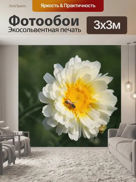 Фотообои Цветы
