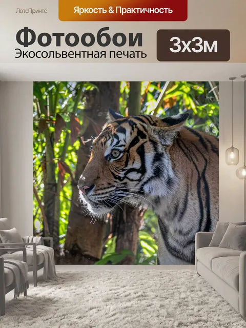 Фотообои Малайский тигренок