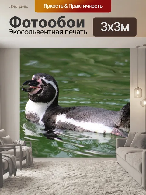 Фотообои Пингвин