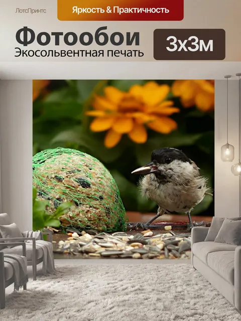 Фотообои Каменная синица