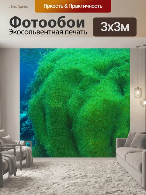 Фотообои море в стиле узоров, хитросплетения морских водорослей, завораживающий дизайн