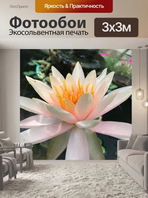 Фотообои Водяная лилия
