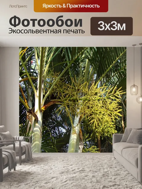 Фотообои Золотая тростниковая пальма