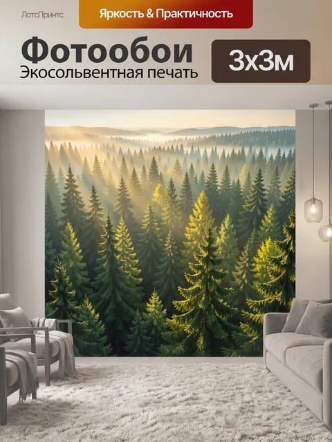 Фотообои Солнечный хвойный лес в тумане