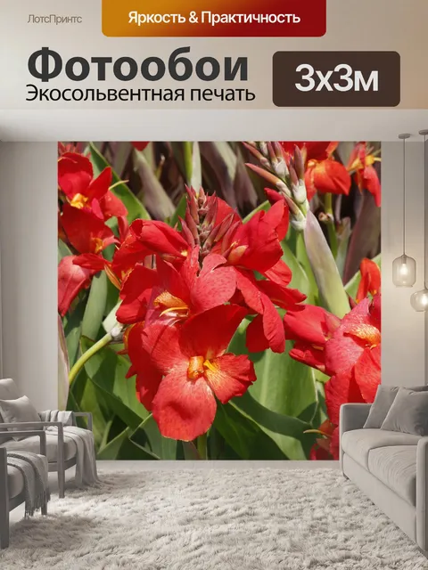 Фотообои Красные канны цветы