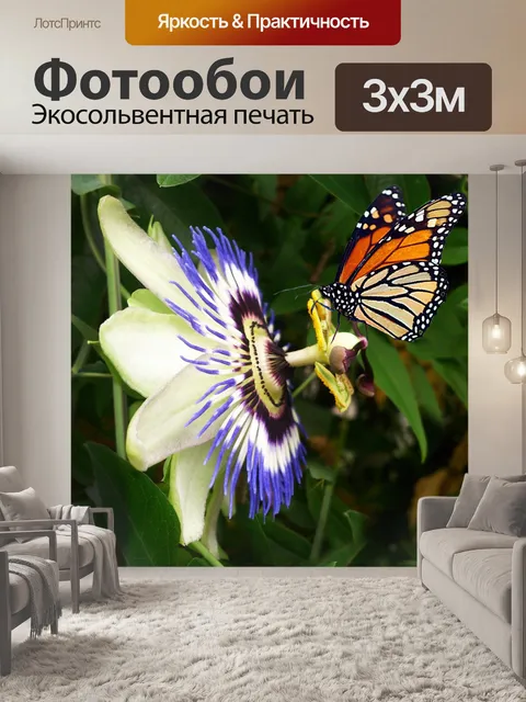 Фотообои Цветок страсти