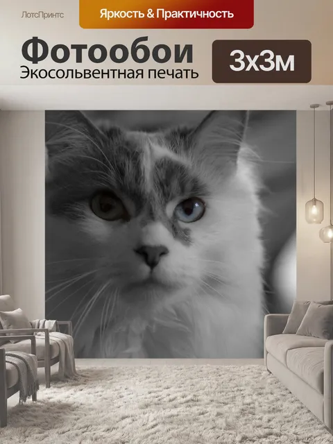 Фотообои Белая кошка