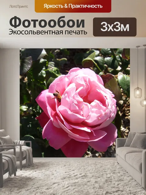 Фотообои Розовая роза с пчелиными