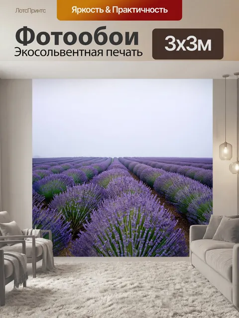 Фотообои туман в стиле плоский, лавандовые поля затянутые туманом ранним утром