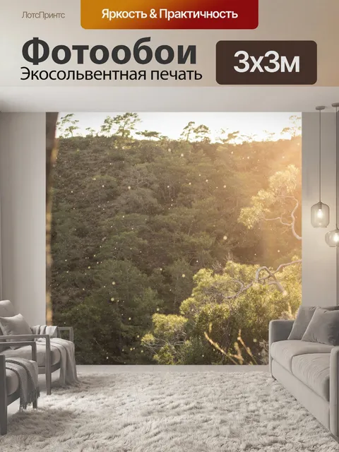 Фотообои Дождь в Солнечный день в лесу