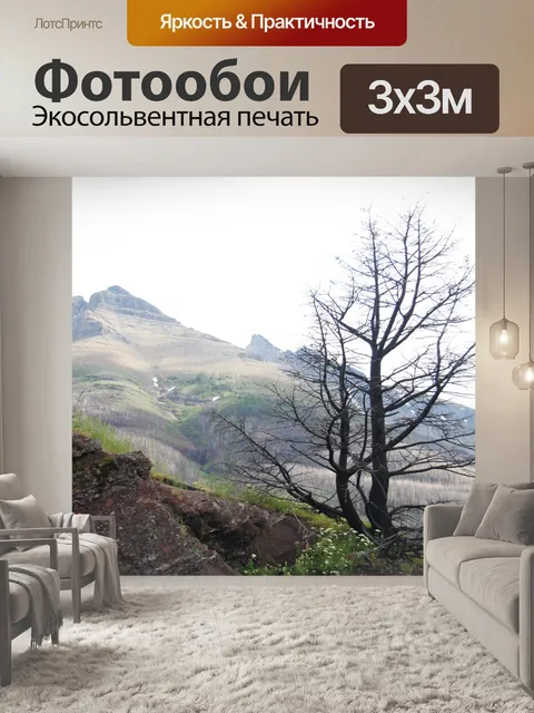 Фотообои Постоянное сгоревшее дерево