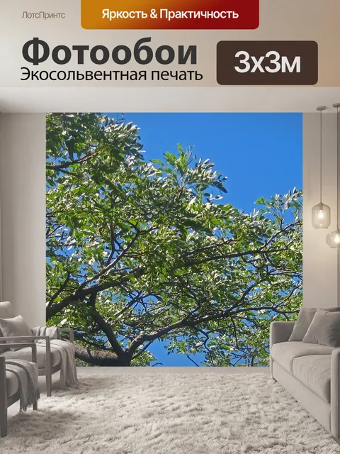 Фотообои Зеленая листва против голубого неба