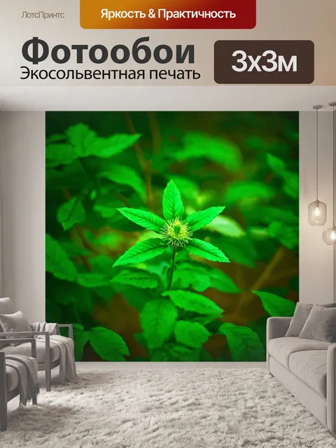 Фотообои зеленые в стиле раскраска, винтажный стиль с элементами природы