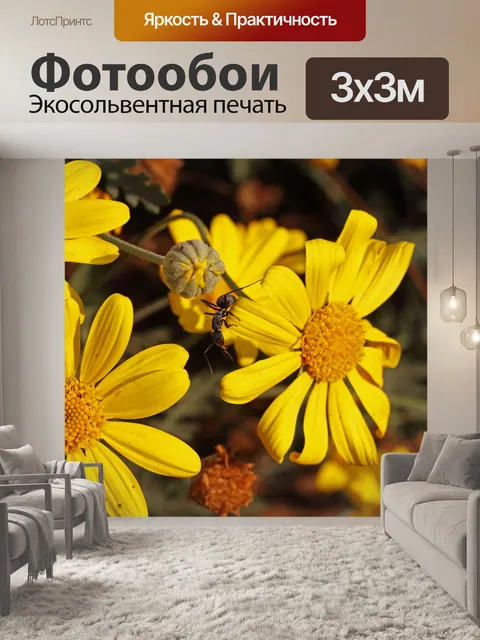 Фотообои большой черный муравей на желтой ромашке