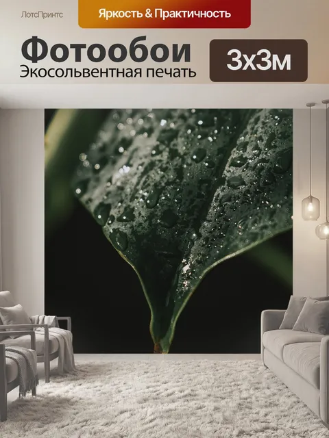 Фотообои Монстера