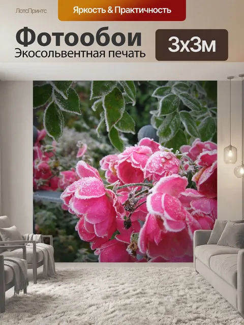 Фотообои Роза