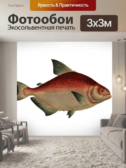 Фотообои Рыба Винтаж Художественный Принт