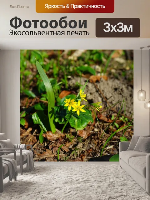 Фотообои Лес желтая звезда