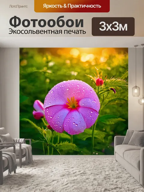 Фотообои утро, роскошные цветы с каплями росы, где утреннее солнце создает атмосферу волшебства
