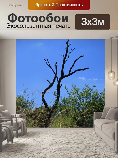 Фотообои Мертвое дерево на фоне голубого неба